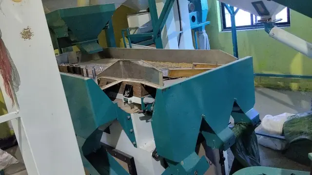Vibro grain cleaner with wheat on the screen deck